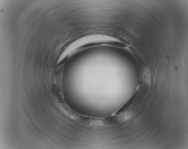 X0000055520572200509022127