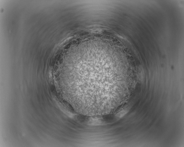 X0000055520573200509022127