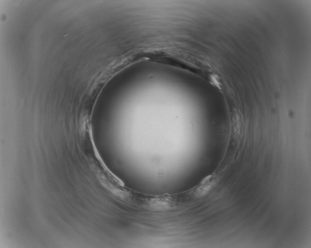 X0000055520574200509022127