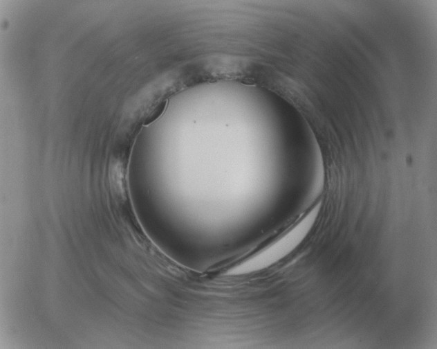 X0000055520575200509022127