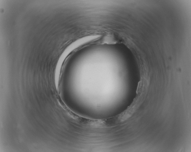 X0000055520576200509022127