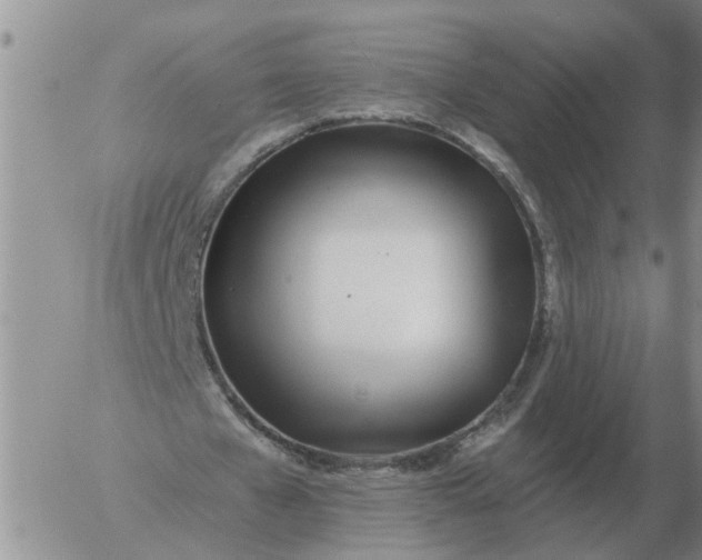 X0000055520577200509022126