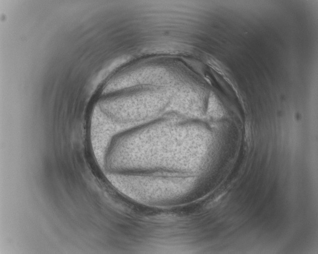 X0000055520578200509022126