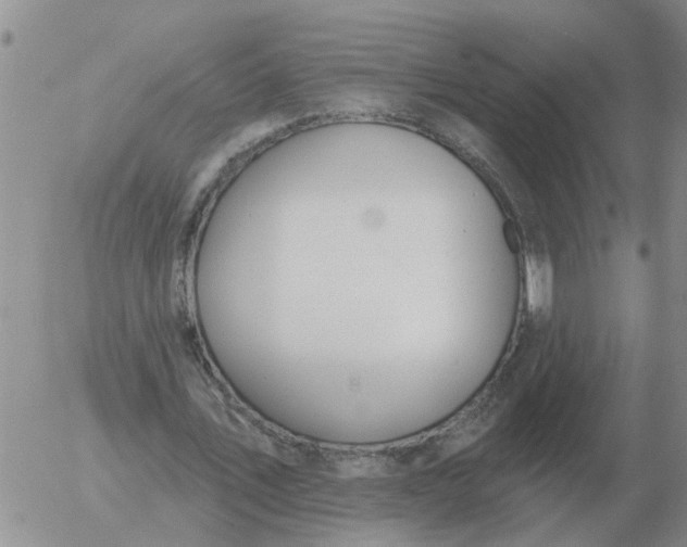 X0000055520579200509022126