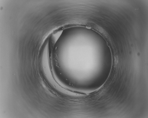 X0000055520580200509022126