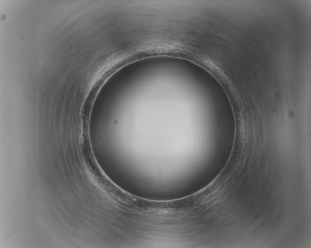 X0000055520582200509022126