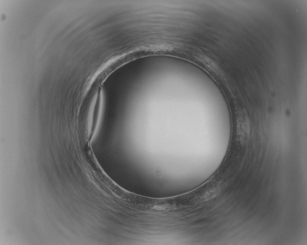 X0000055520584200509022126