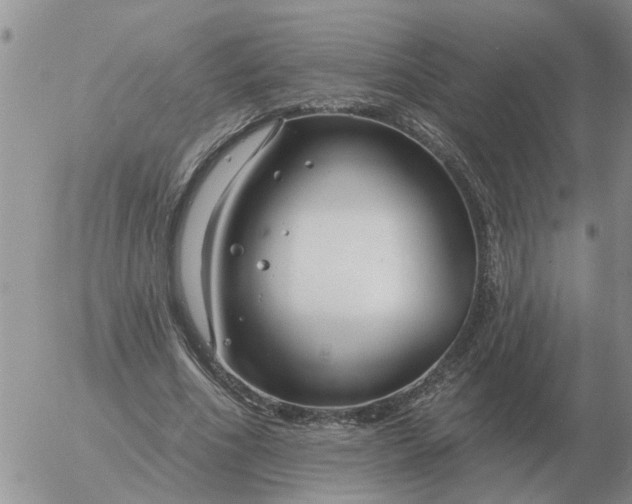 X0000055520586200509022126