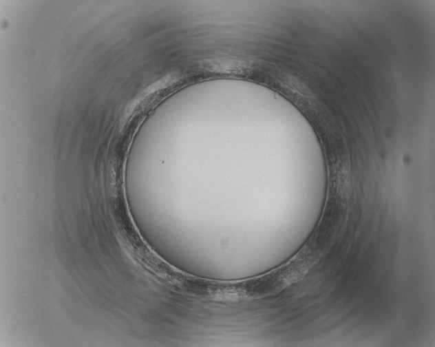 X0000055520587200509022126