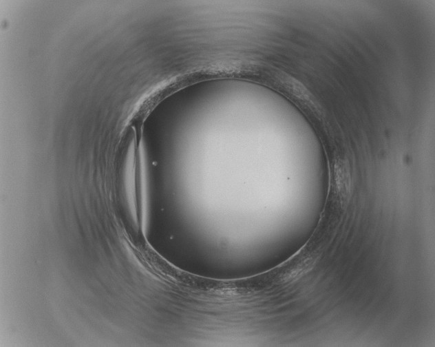 X0000055520588200509022126