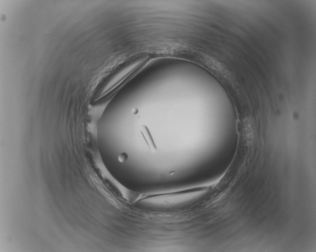 X0000055520589200509022126