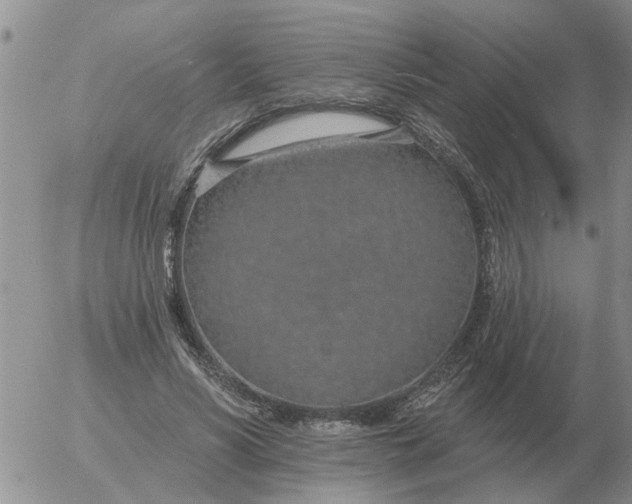 X0000055520590200509022126