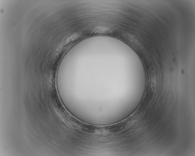 X0000055520591200509022126