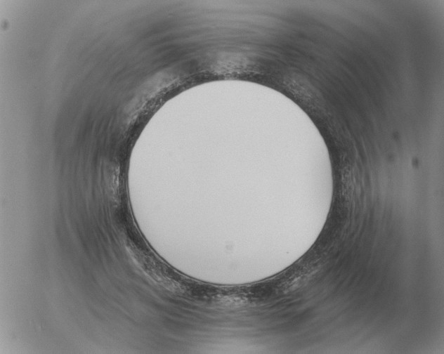 X0000055520592200509022126