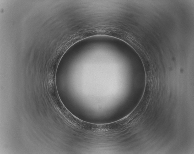 X0000055520593200509022126