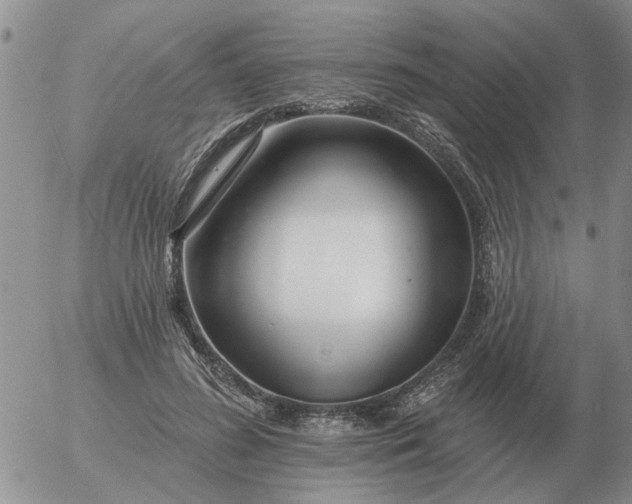 X0000055520596200509022126