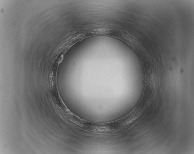 X0000055520599200509022126