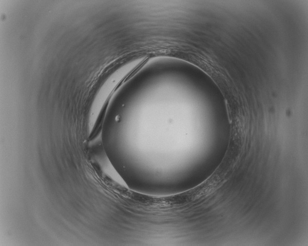 X0000055520600200509022125