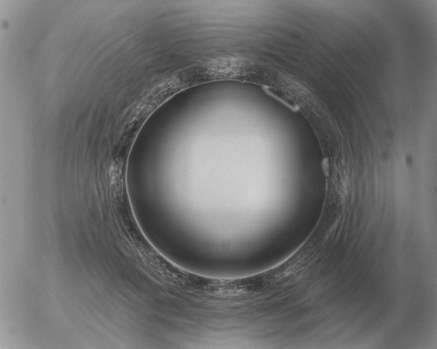 X0000055520601200509022125