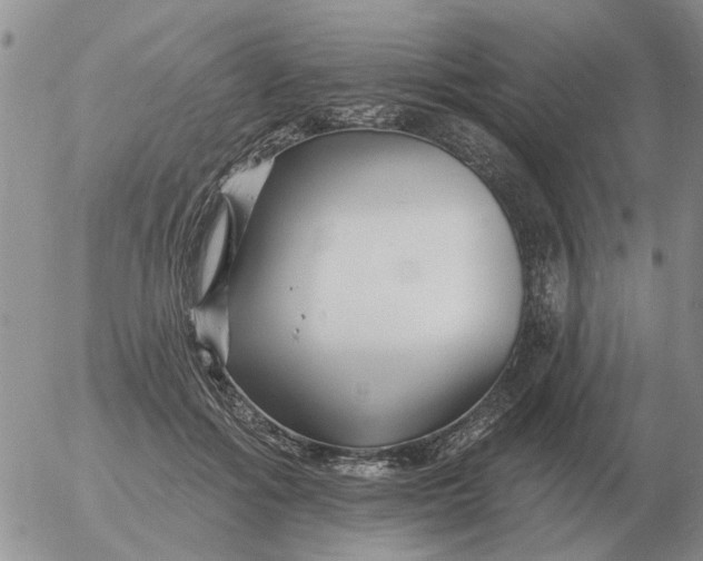 X0000055520602200509022125