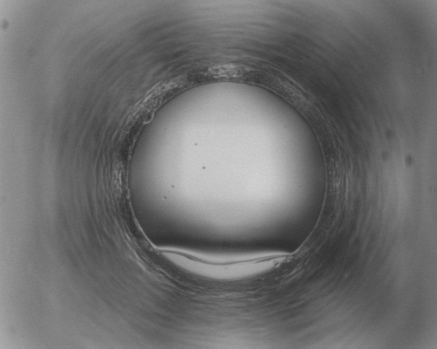 X0000055520603200509022125