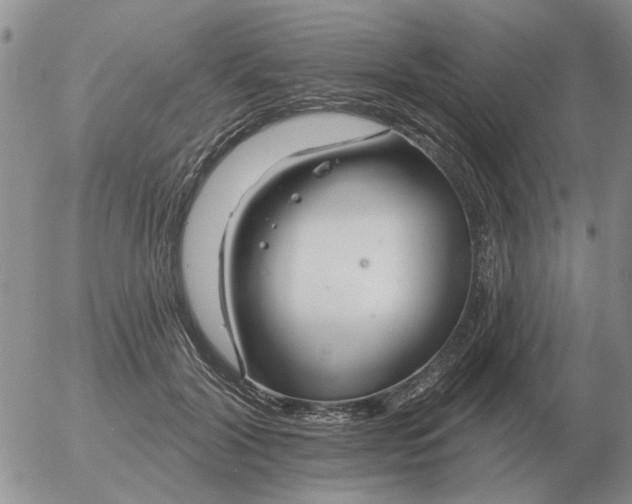 X0000055520604200509022125