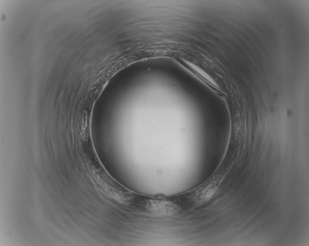 X0000055520605200509022125