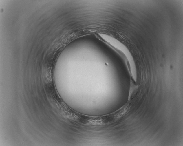 X0000055520606200509022125