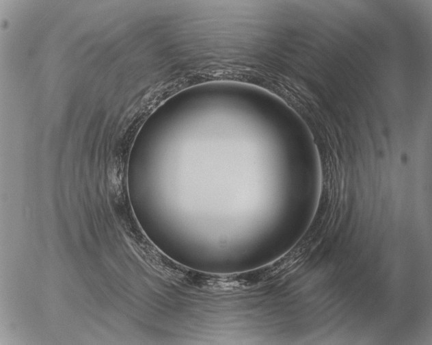 X0000055520607200509022125