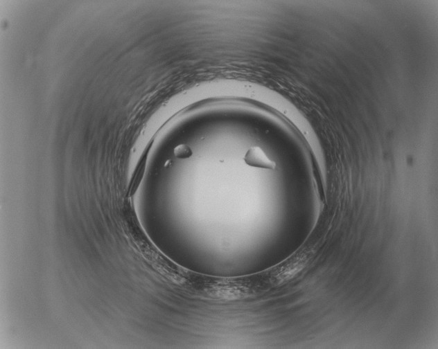 X0000055520608200509022125