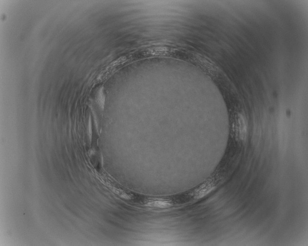 X0000055520610200509022125