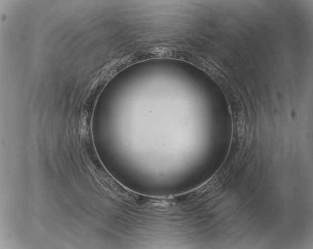 X0000055520611200509022125