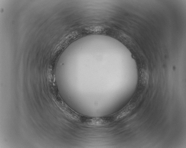 X0000055520612200509022125