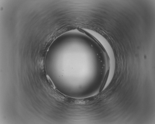 X0000055520613200509022125