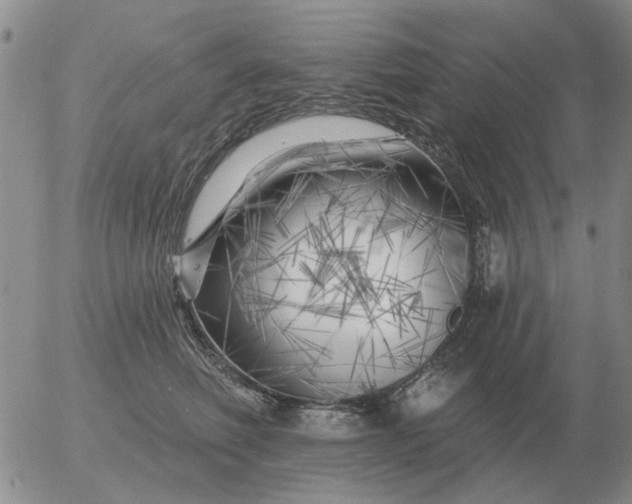 X0000055520614200509022125