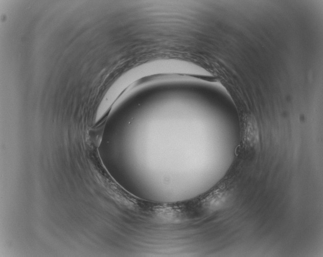 X0000055520616200509022125