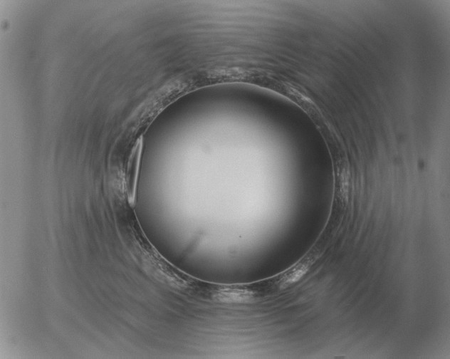 X0000055520617200509022125