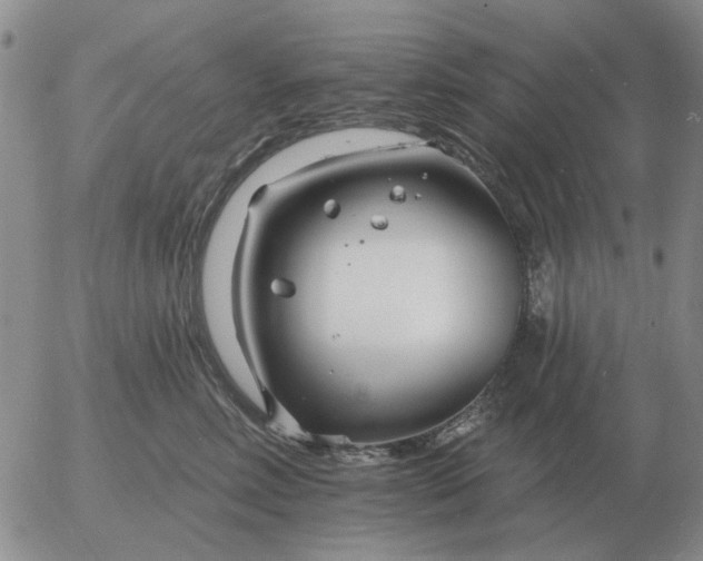 X0000055520618200509022125