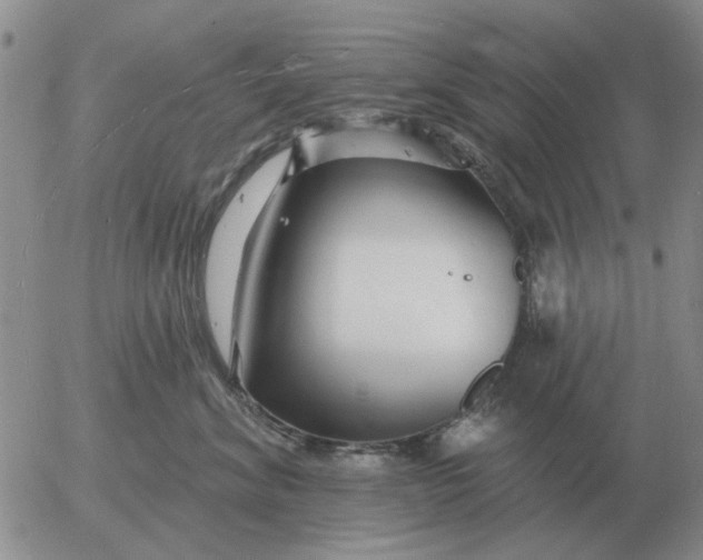 X0000055520620200509022125