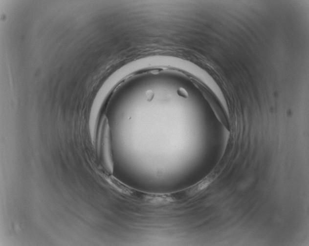 X0000055520621200509022125