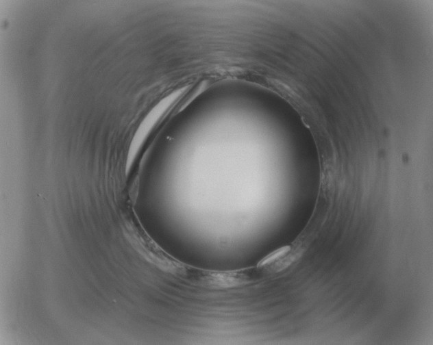 X0000055520623200509022125