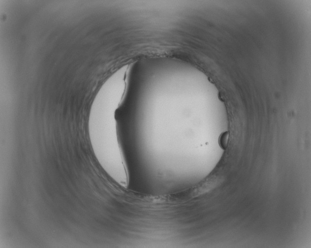 X0000055520624200509022125