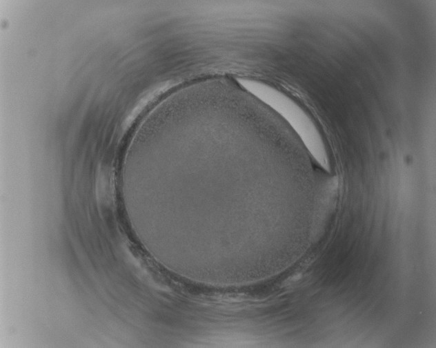 X0000055520626200509022124