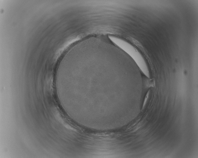 X0000055520627200509022124