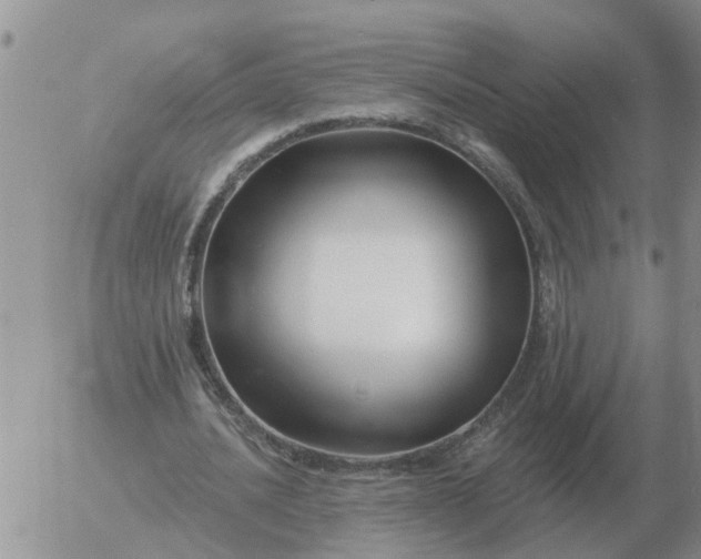 X0000055520628200509022124