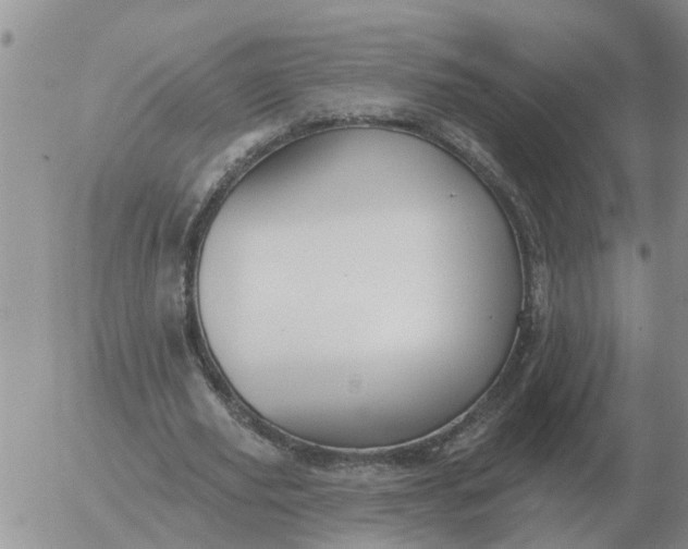 X0000055520629200509022124