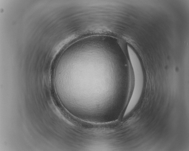 X0000055520630200509022124