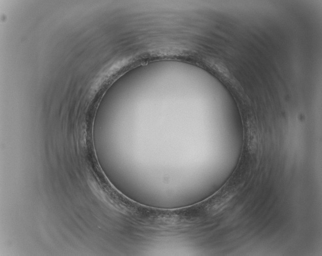 X0000055520631200509022124