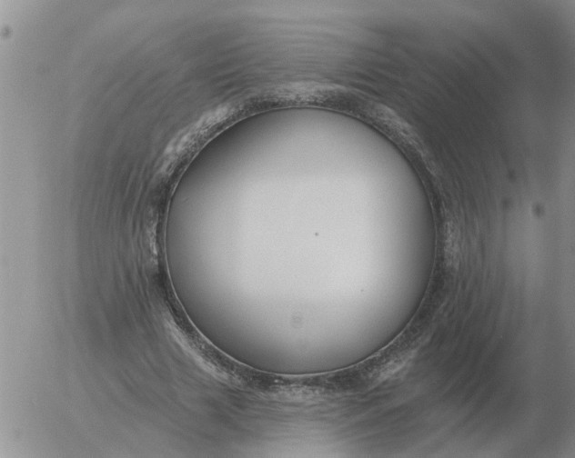 X0000055520633200509022124