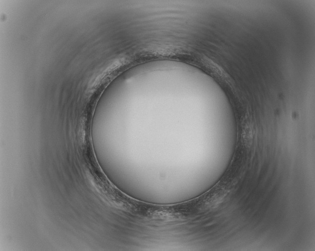 X0000055520635200509022124